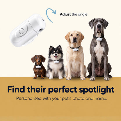 Custom Pet Projection Light for Night Walks