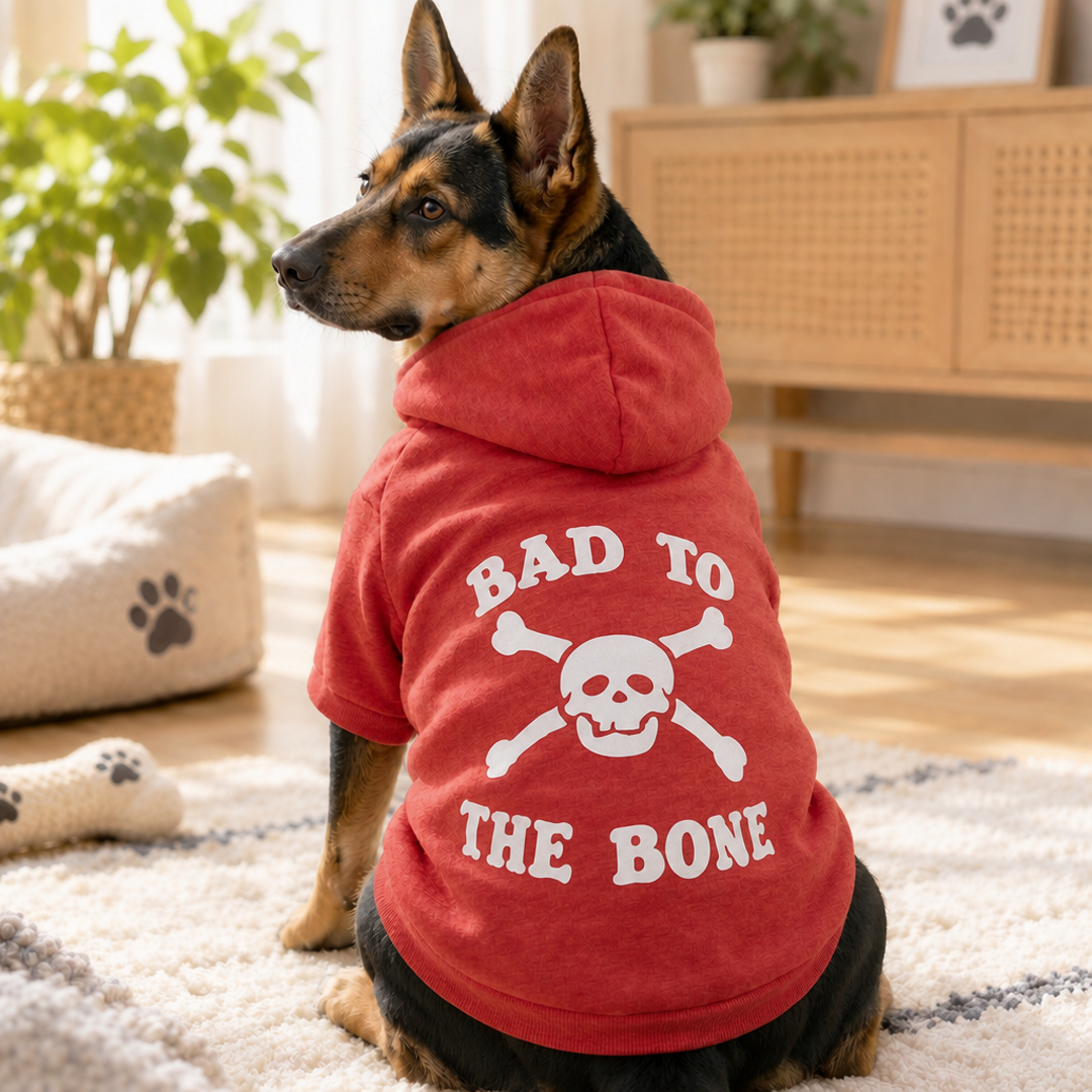 Born to Be Wild Dog Hoodie