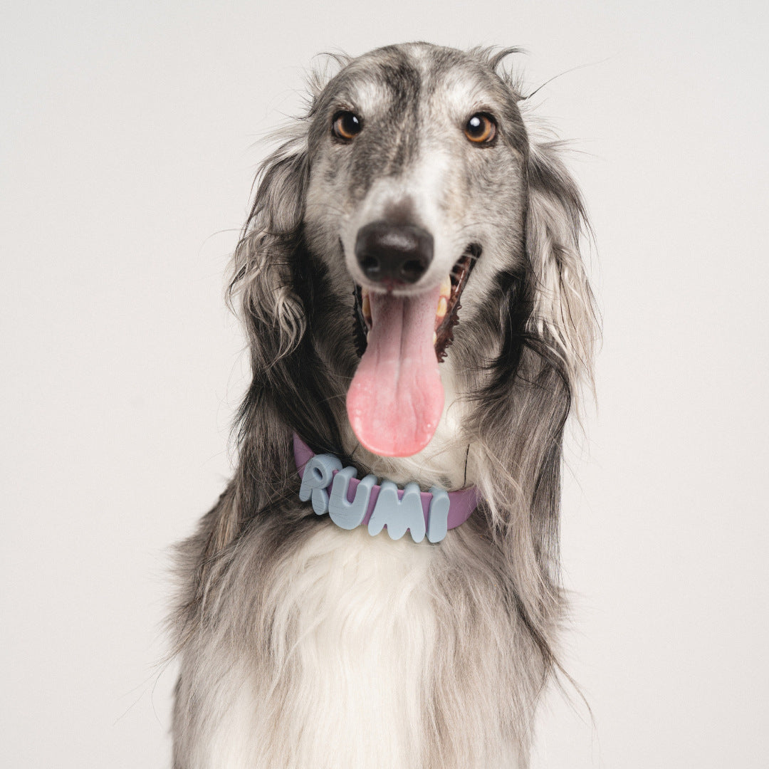 Personalized Waterproof Dog Collar with Charms