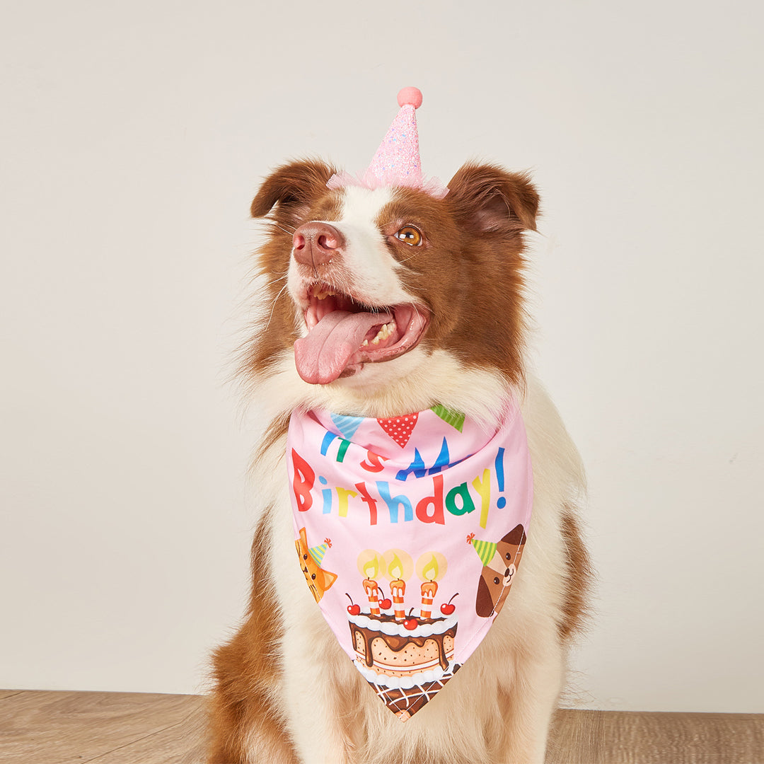Pet Birthday Hat & Bandana Set