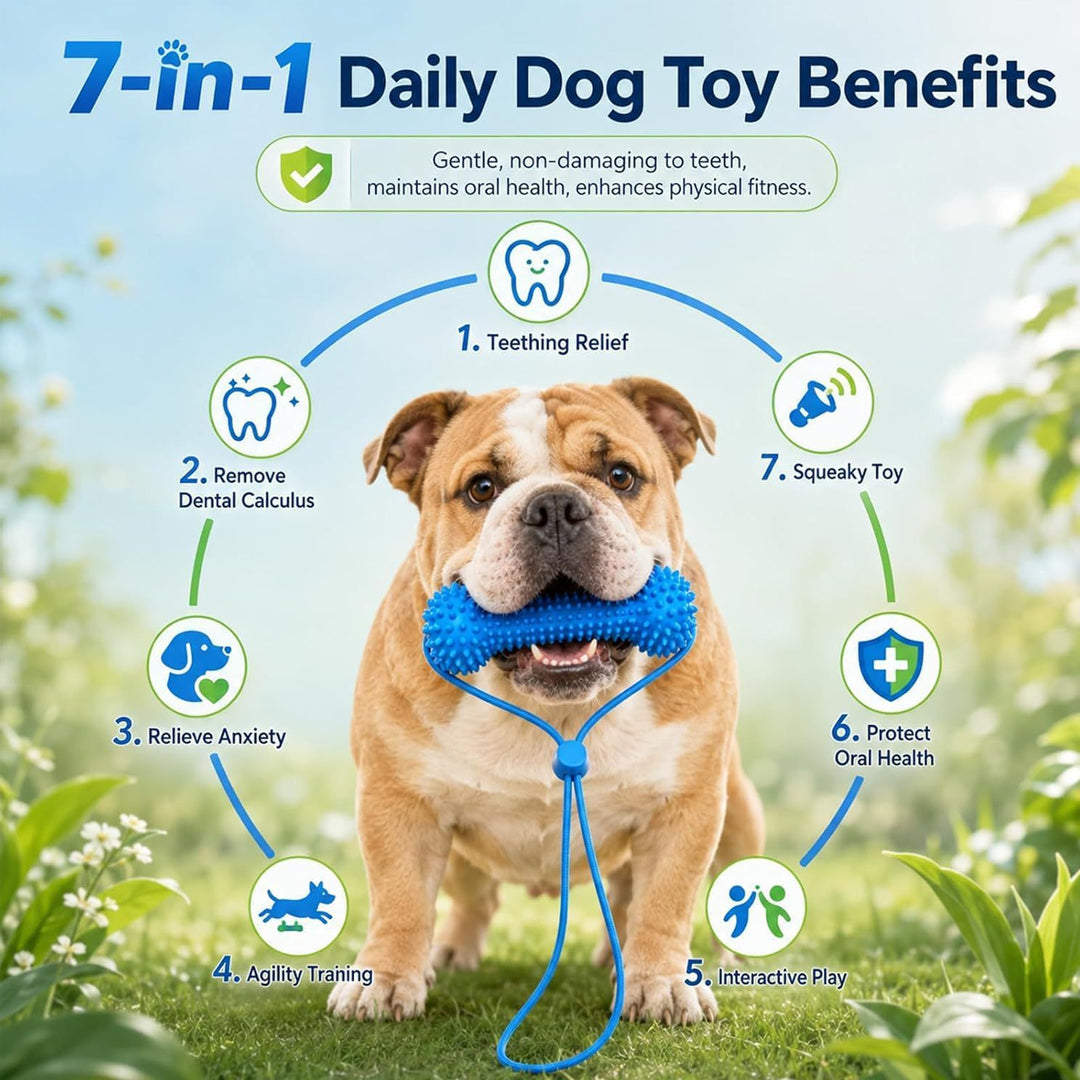 Dog Teething Toy