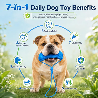 Dog Teething Toy