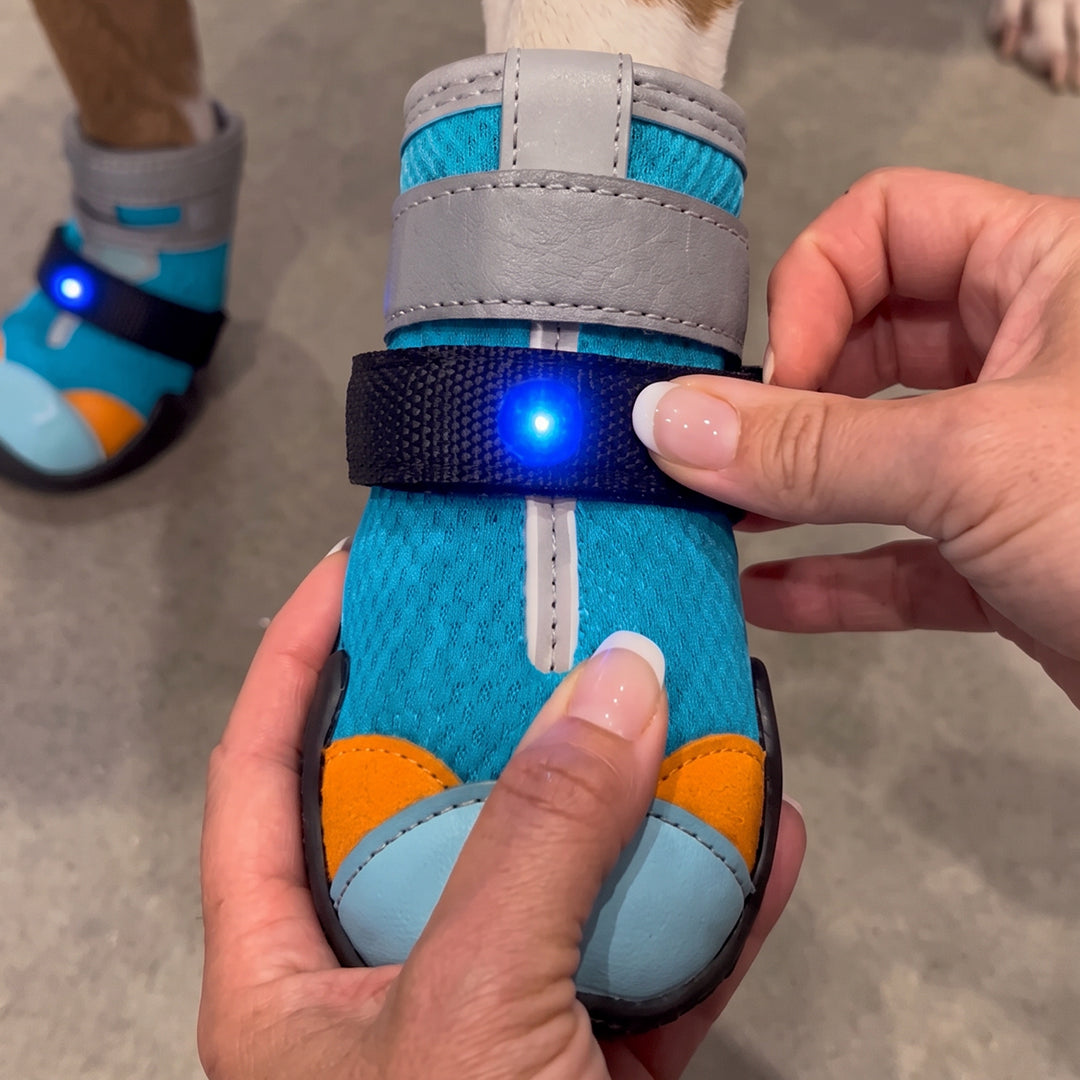 Motion-Activated LED Dog Shoes