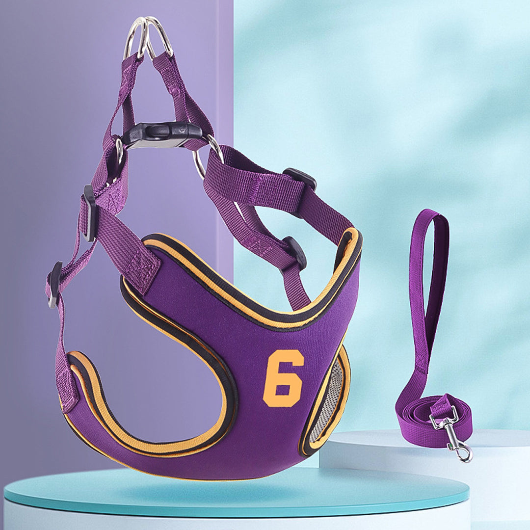 Dog Leash and Harness