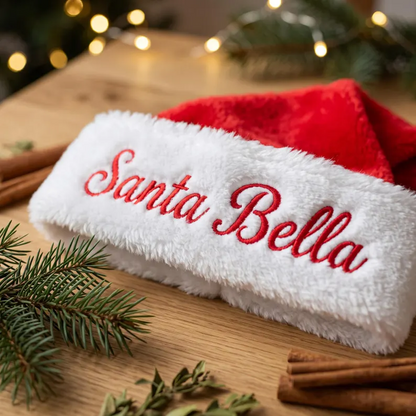 Personalized Santa Hugging Present Christmas Pet Costume Set