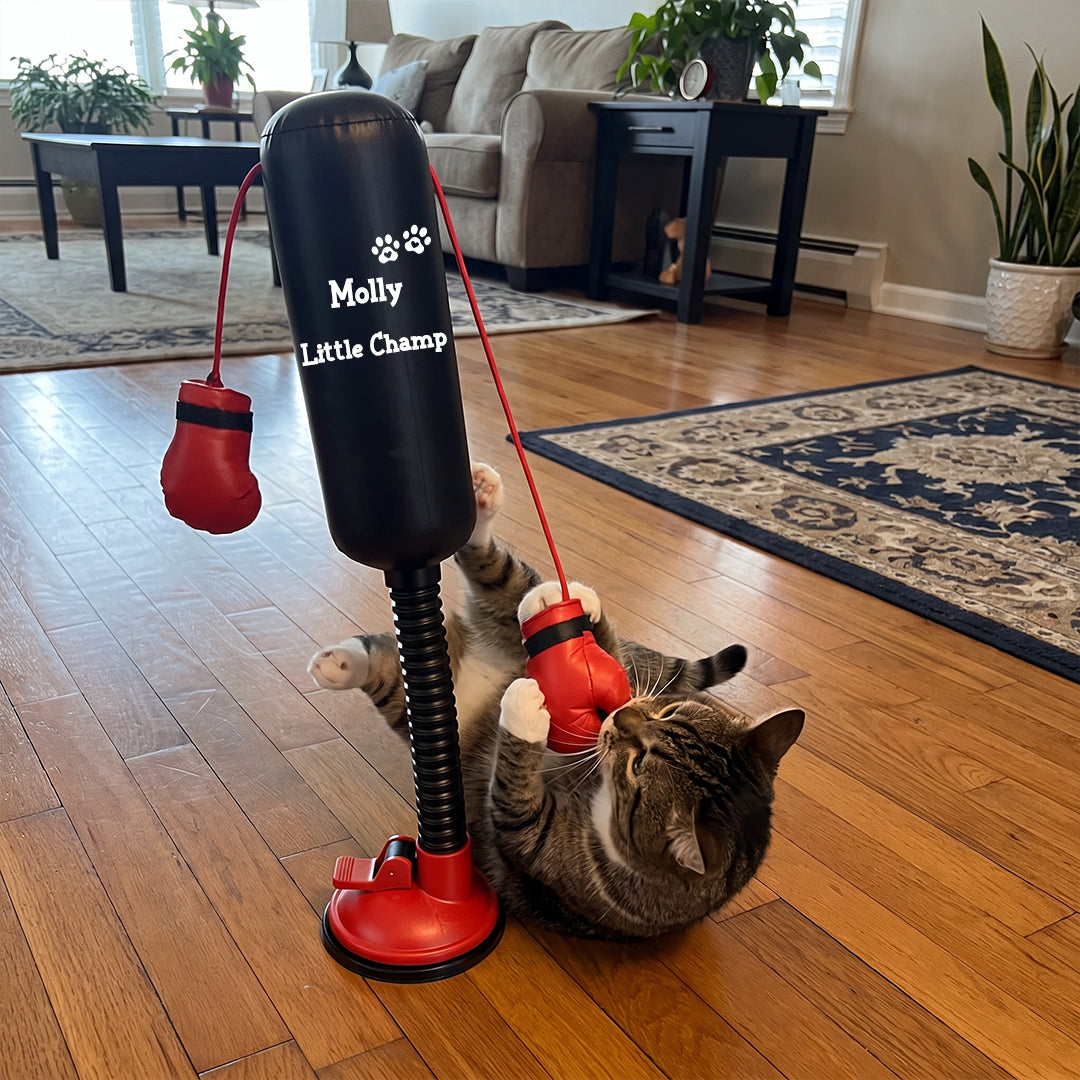 Personalized Mini Cat Boxing Toy