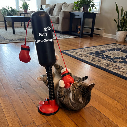 Personalized Mini Cat Boxing Toy