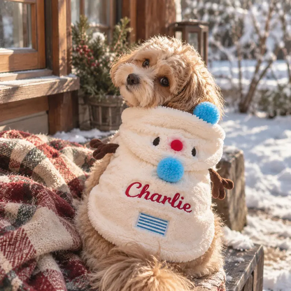 Personalized Snowman Christmas Pet Costume