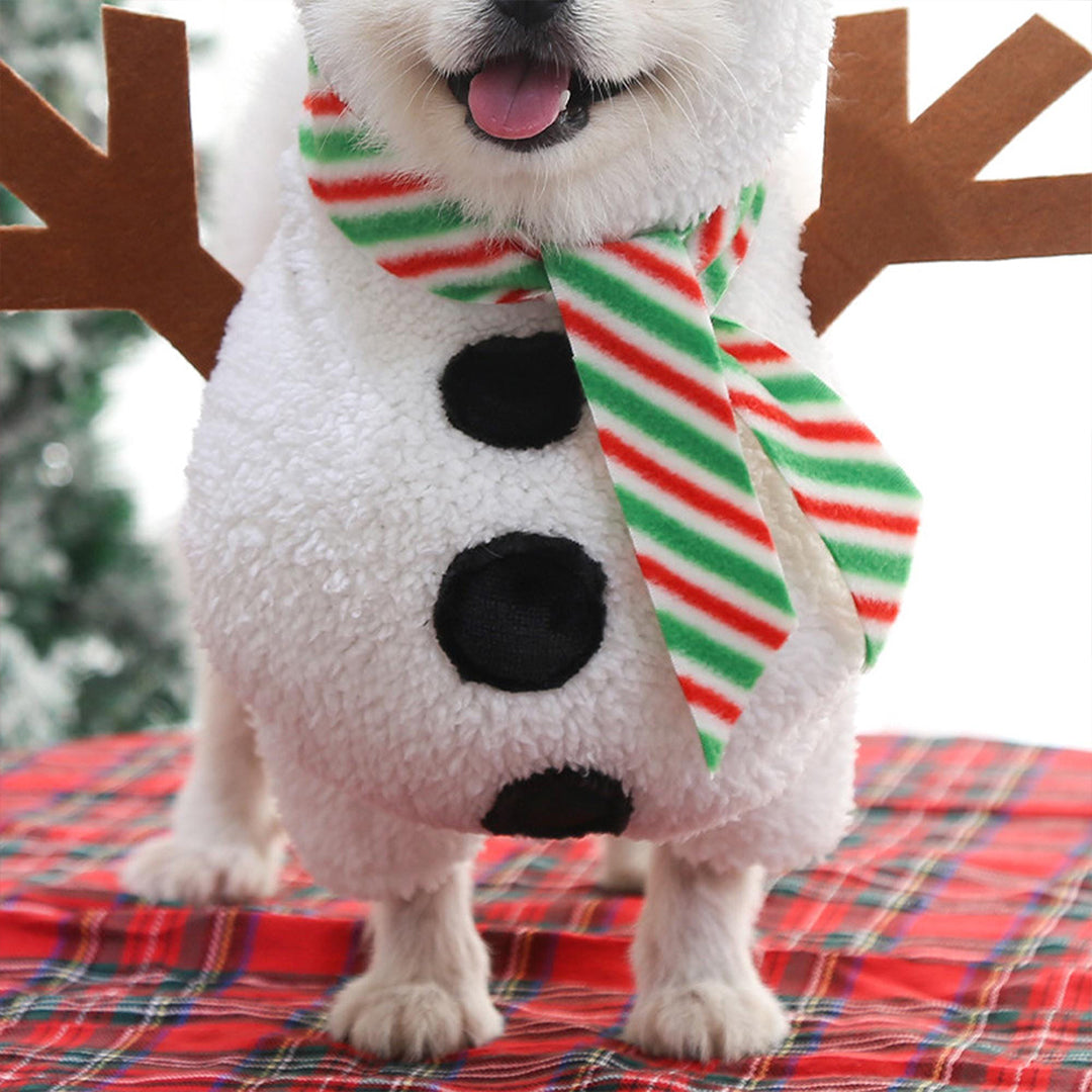 Snowman Costume for Small Dogs