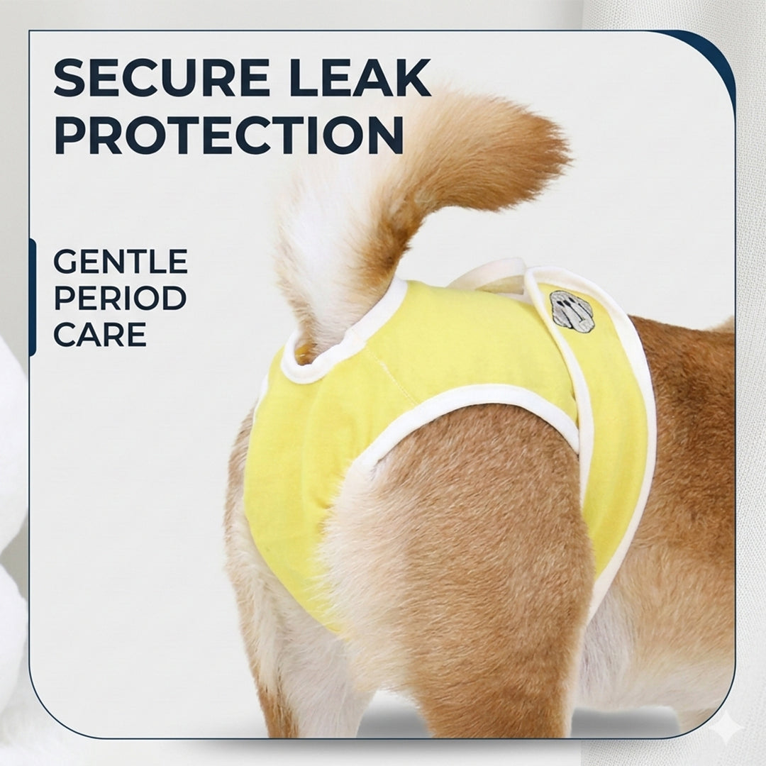 Pet Hygiene Pants