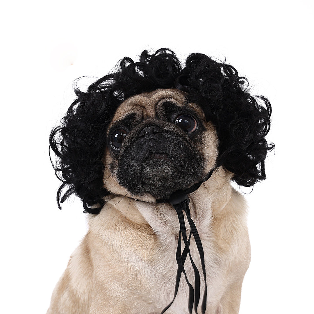 Funny Dog Wigs — Adjustable Pet Costume Hair