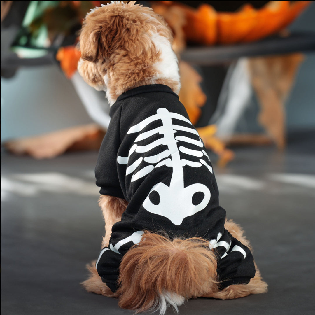 Puptailor Halloween Pet Costume with Glow-in-the-dark