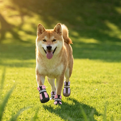 Personalized Zipper Dog Shoes