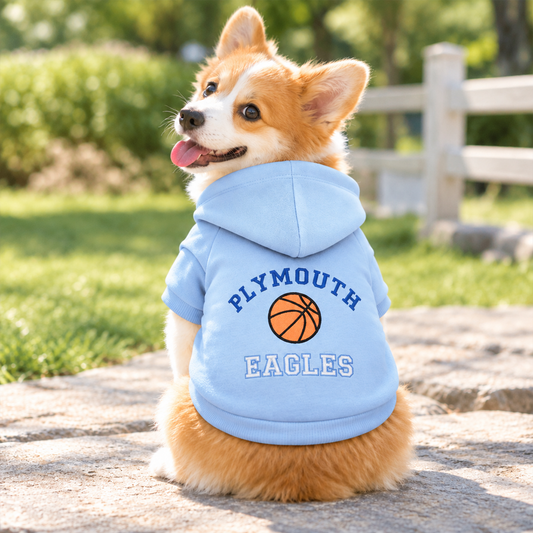 Personalized Sports Team Dog Hoodie