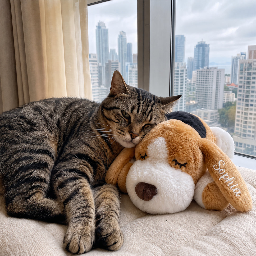 Personalized Heartbeat Stuffed Calming Anxiety Relief Toy