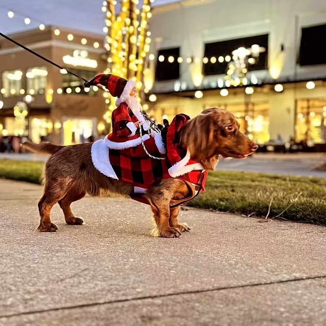 Santa's Sleigh Rider Dog Costume