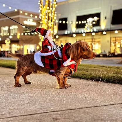 Santa's Sleigh Rider Dog Costume