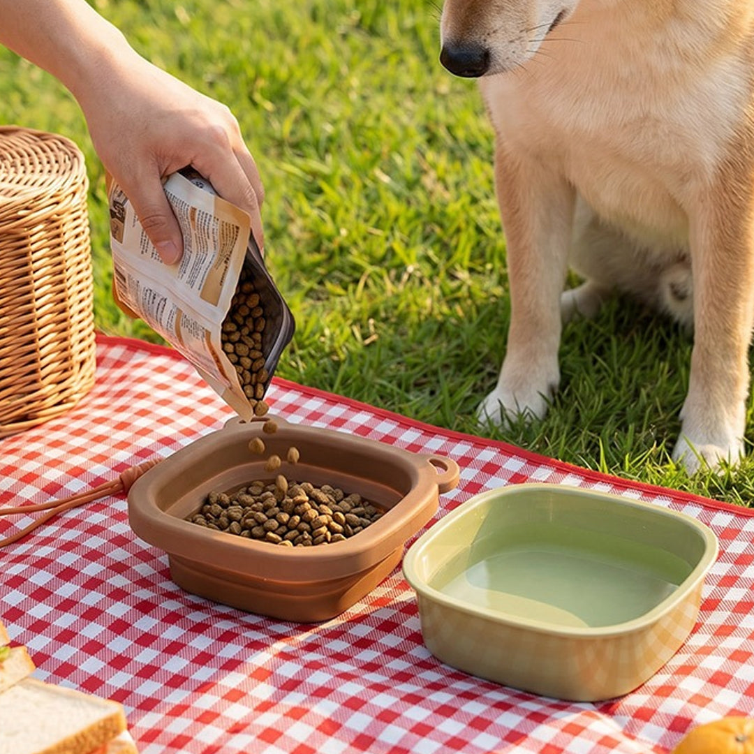 Portable Pet Feeding Water Bowl