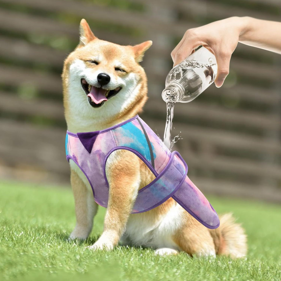 Personalized Dog Cooling Tie-dye Vest