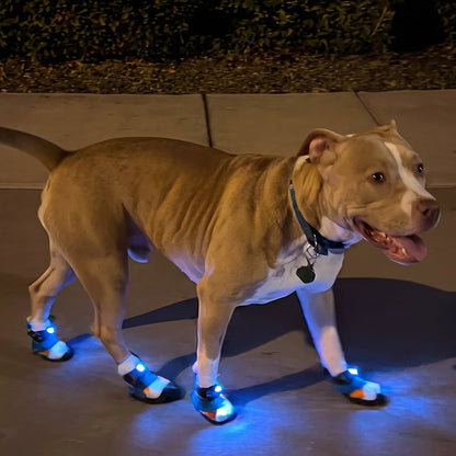 Motion-Activated LED Dog Shoes
