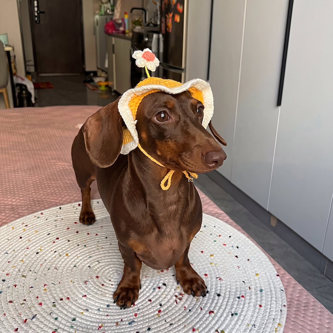 Personalized Initial Crochet Dog Hat