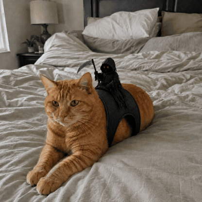 Puptailor Pet Halloween Death Knight Costume