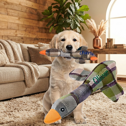 Custom Embroidered Name Dog Toy