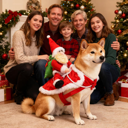 Santa Rider Dog Costume