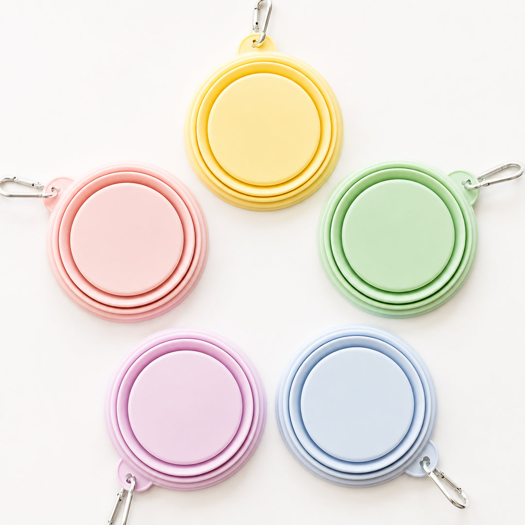 Collapsible Silicone Travel Dog Bowl