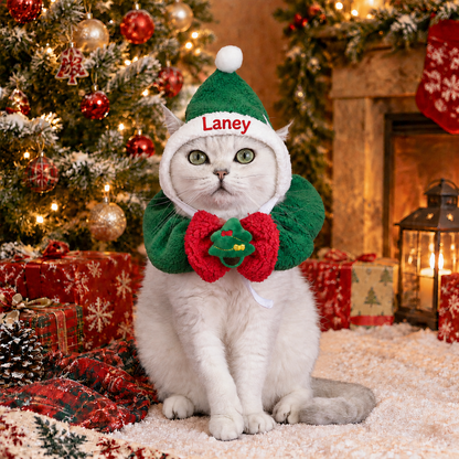 Personalized Christmas Pet Collars & Hats