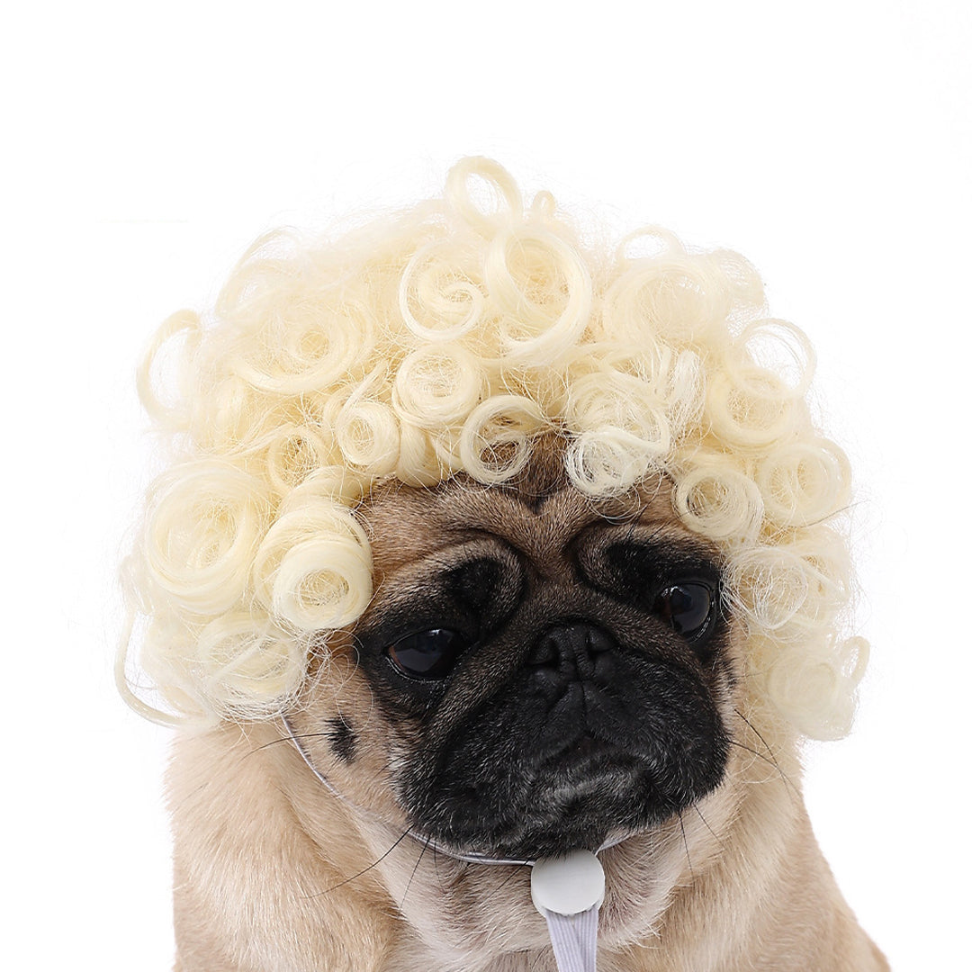Funny Dog Wigs — Adjustable Pet Costume Hair