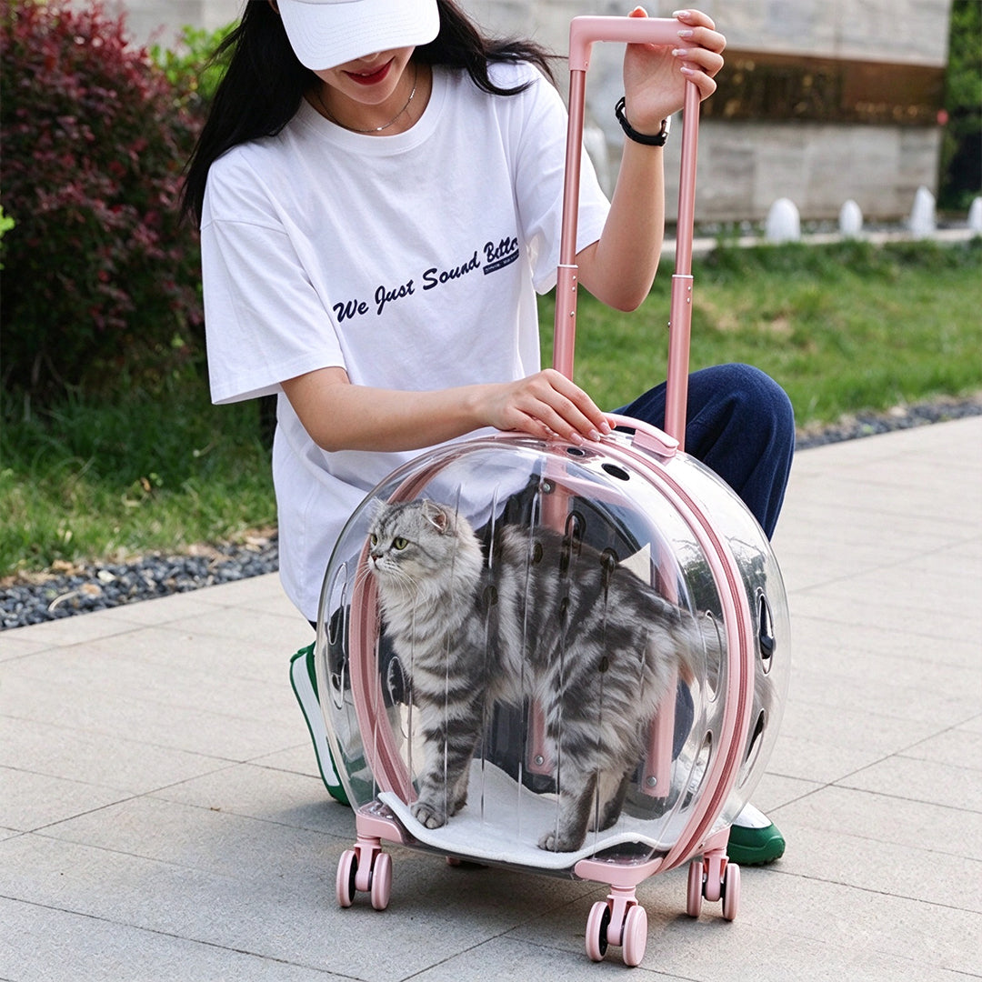 Pet Trolley With Wheels Rolling Carrier