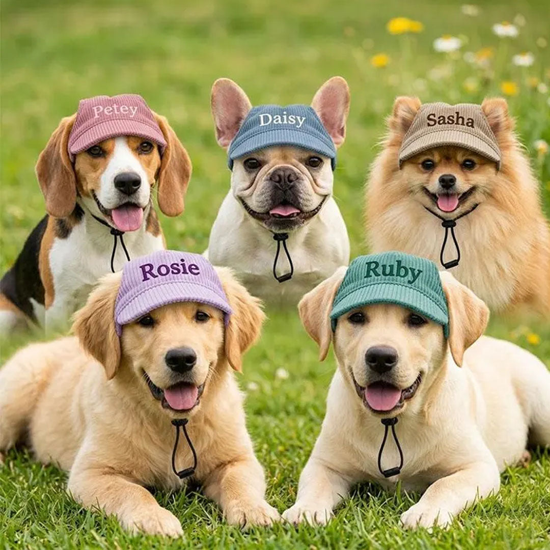 Personalized Corduroy Embroidered Pet Hat