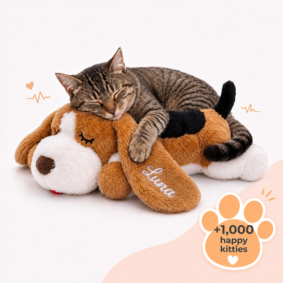 Personalized Heartbeat Stuffed Calming Anxiety Relief Toy