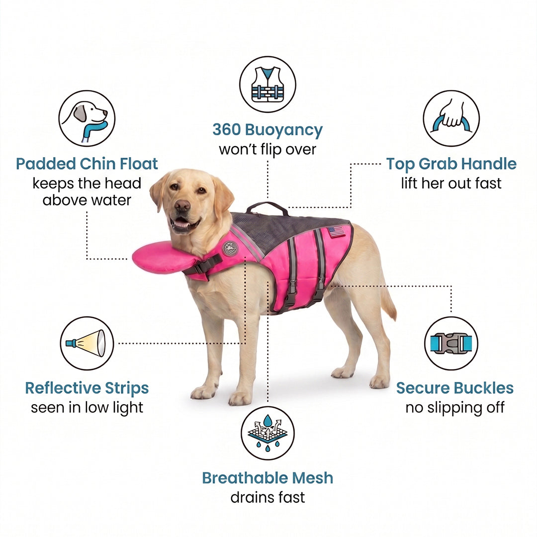 Personalized Dog Life Jacket