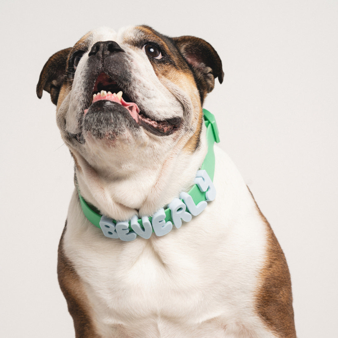 Personalized Waterproof Dog Collar with Charms