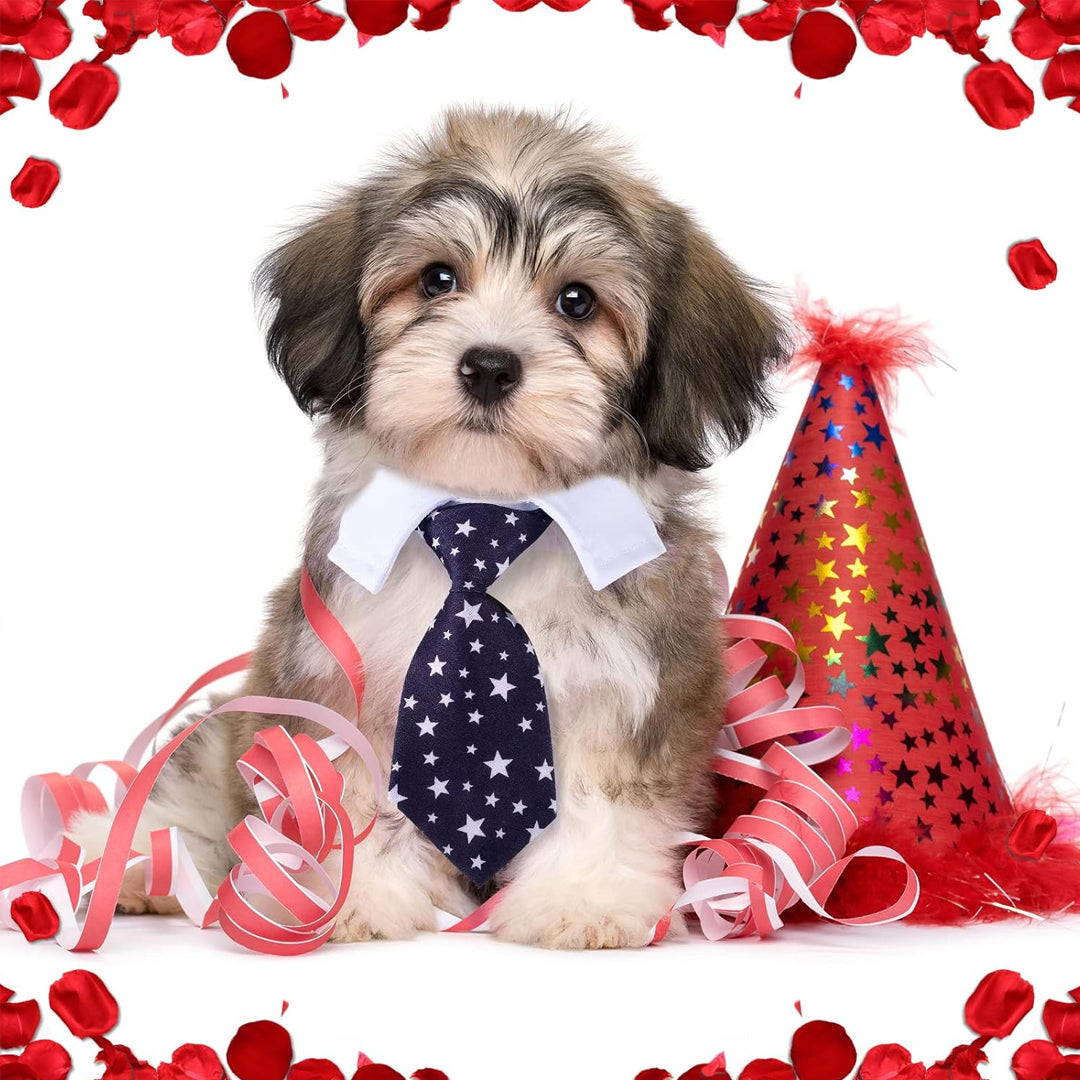 Neck Tie with White Collar for Pet