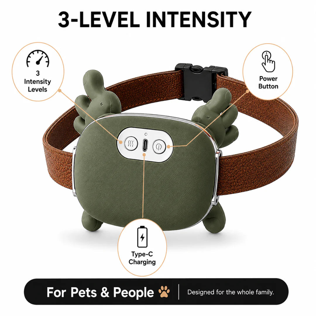 Personalized Soothing Dog Massager