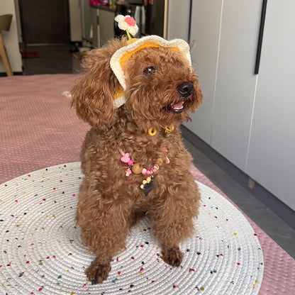 Personalized Initial Crochet Dog Hat