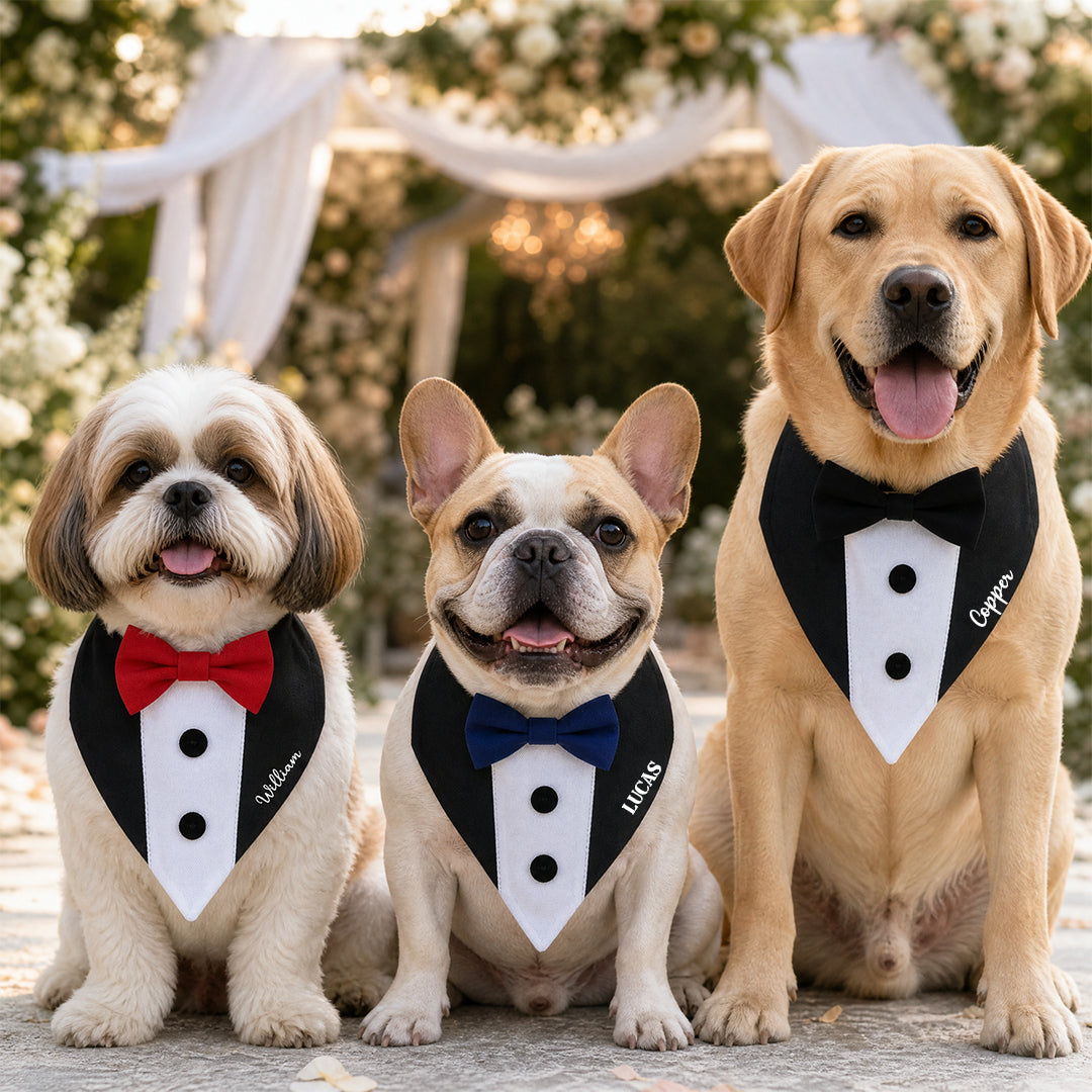 Personalized Embroidered Name Tuxedo-Style Dog Bandana