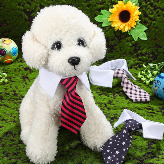 Neck Tie with White Collar for Pet