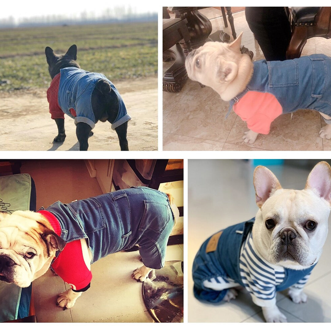 Personalized Embroidered Name Dog Denim Overalls