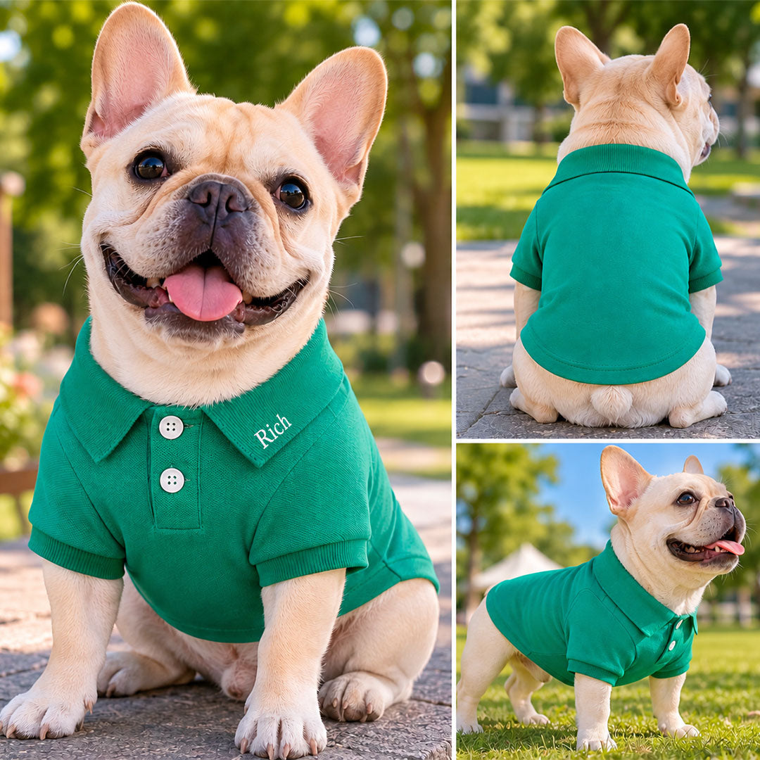 Customized Mesh Cotton Polo Shirt