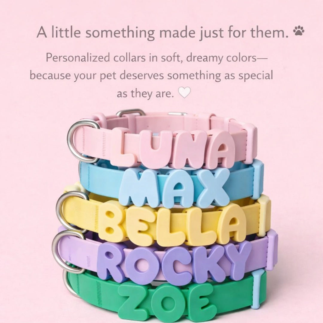Personalized Waterproof Dog Collar with Charms