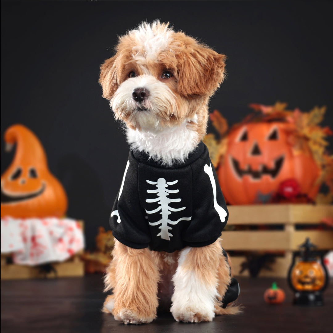Puptailor Halloween Pet Costume with Glow-in-the-dark