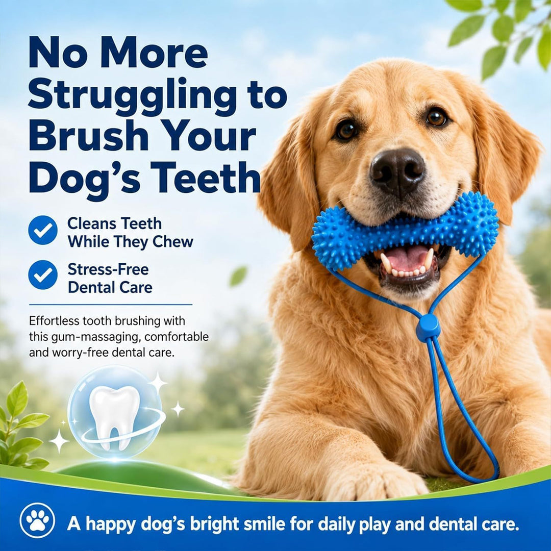 Dog Teething Toy