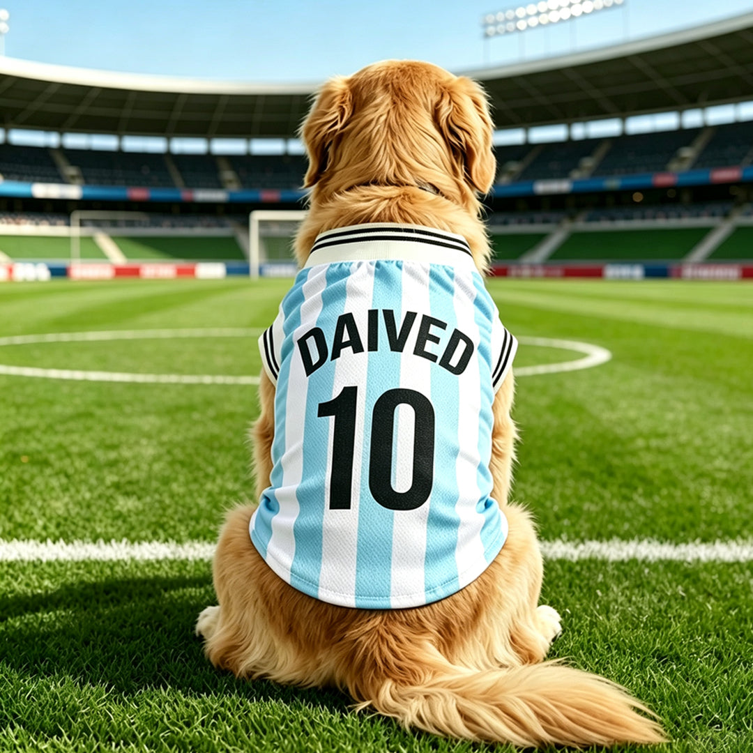Personalized Dog Jersey with Name Number