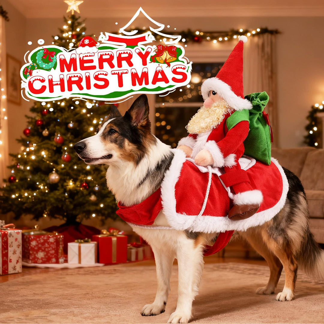 Santa Rider Dog Costume