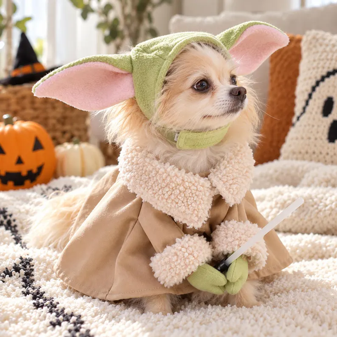 Personalized Alien Pet Costume