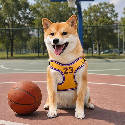 Dog Leash and Harness